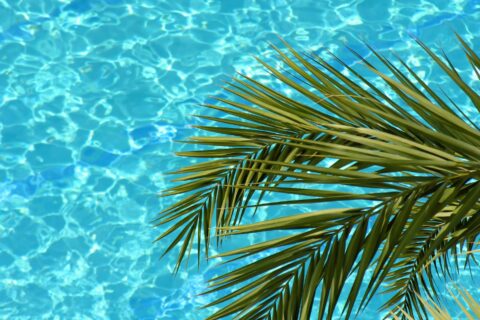 Green Pool Recovery